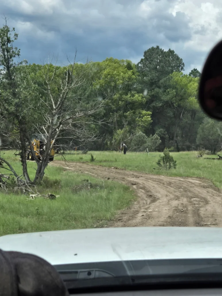 Cleared rural land with mature trees, dirt road, and heavy equipment for site preparation